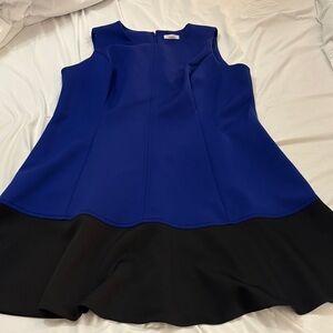 Calvin Klein Blue and Black Dress